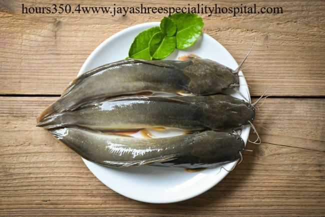 Manfaat Ikan Lele Bagi Kesehatan Anak